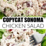 Sonoma Chicken salad on a bed of lettuce.