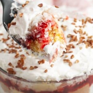 Spoon with punch bowl cake.