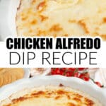 Baking dish with chicken alfredo dip.