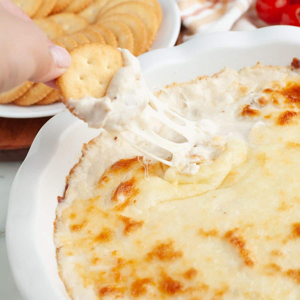 Baking dish with chicken alfredo dip and a cracker dipping in the dip.