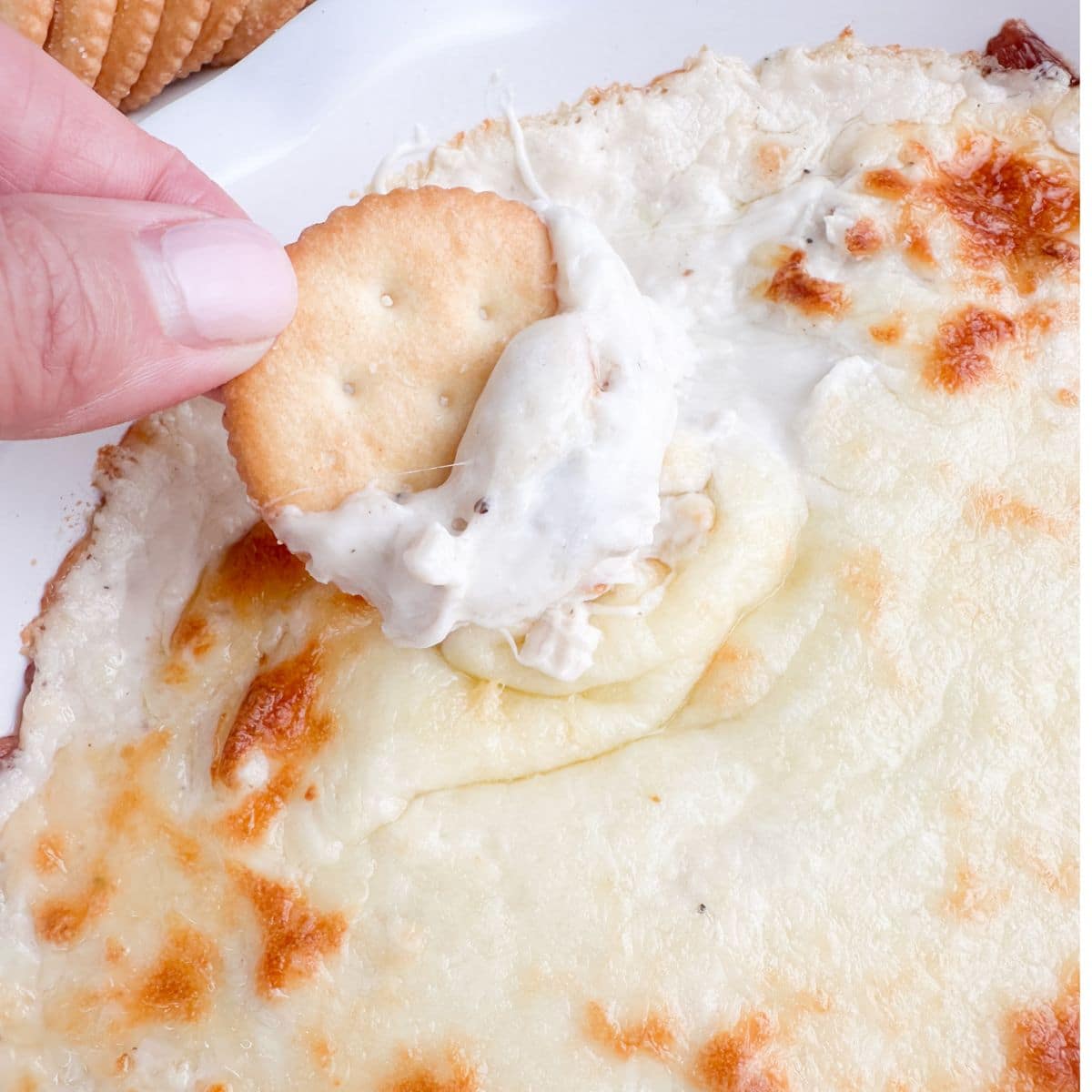 Baking dish with chicken alfredo dip and a cracker. 