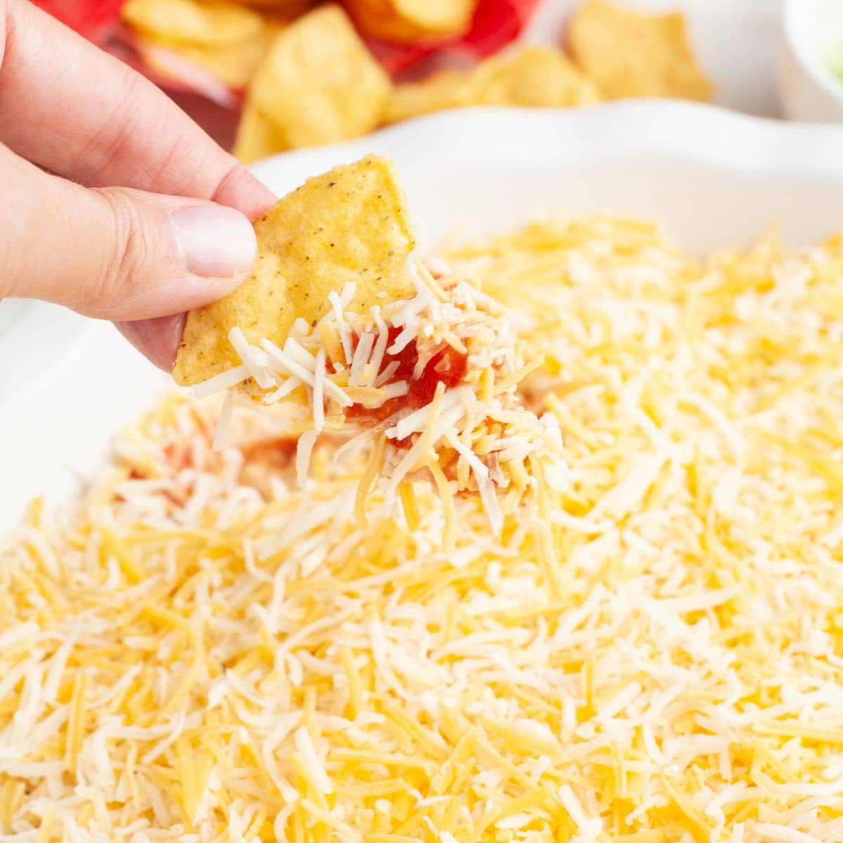 Pie dish with salsa and cheese dip with a tortilla chip dipping in. 