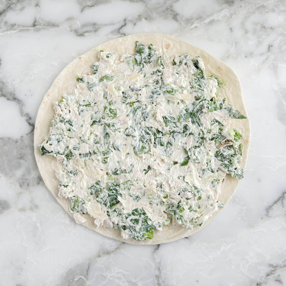 Tortilla topped with chicken caesar mixture.