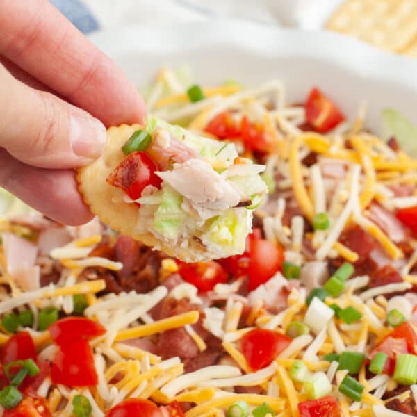 Hand holding a cracker with club sandwich dip.