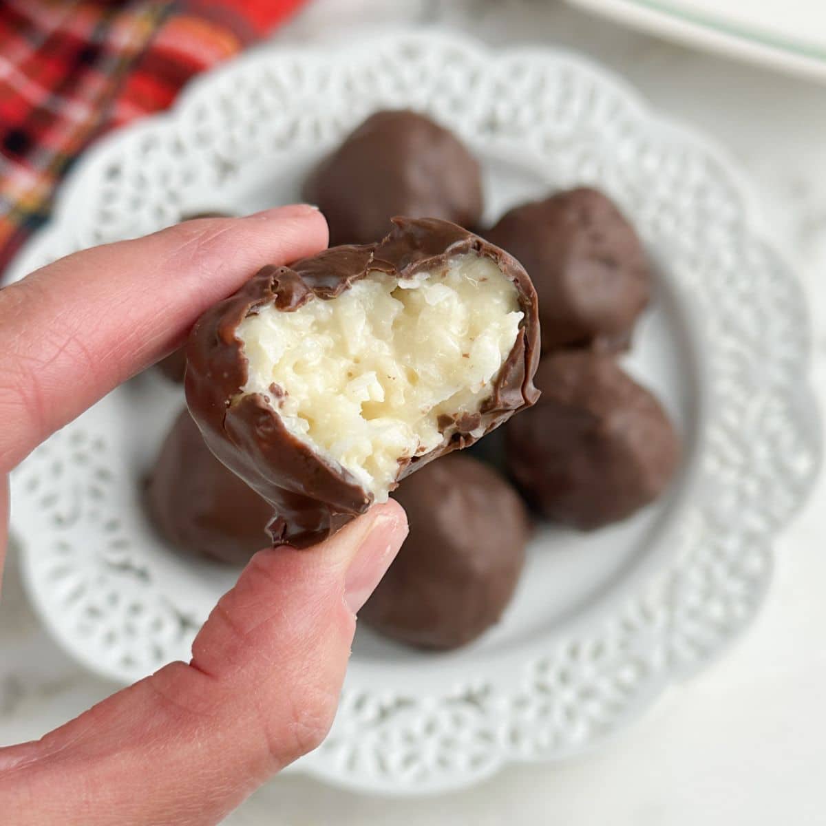 Hand holding a chocolate coconut ball.