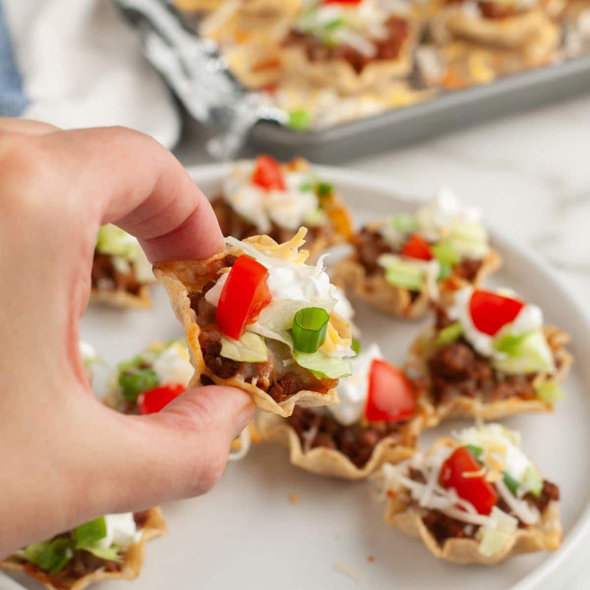 Hand holding a taco bite.