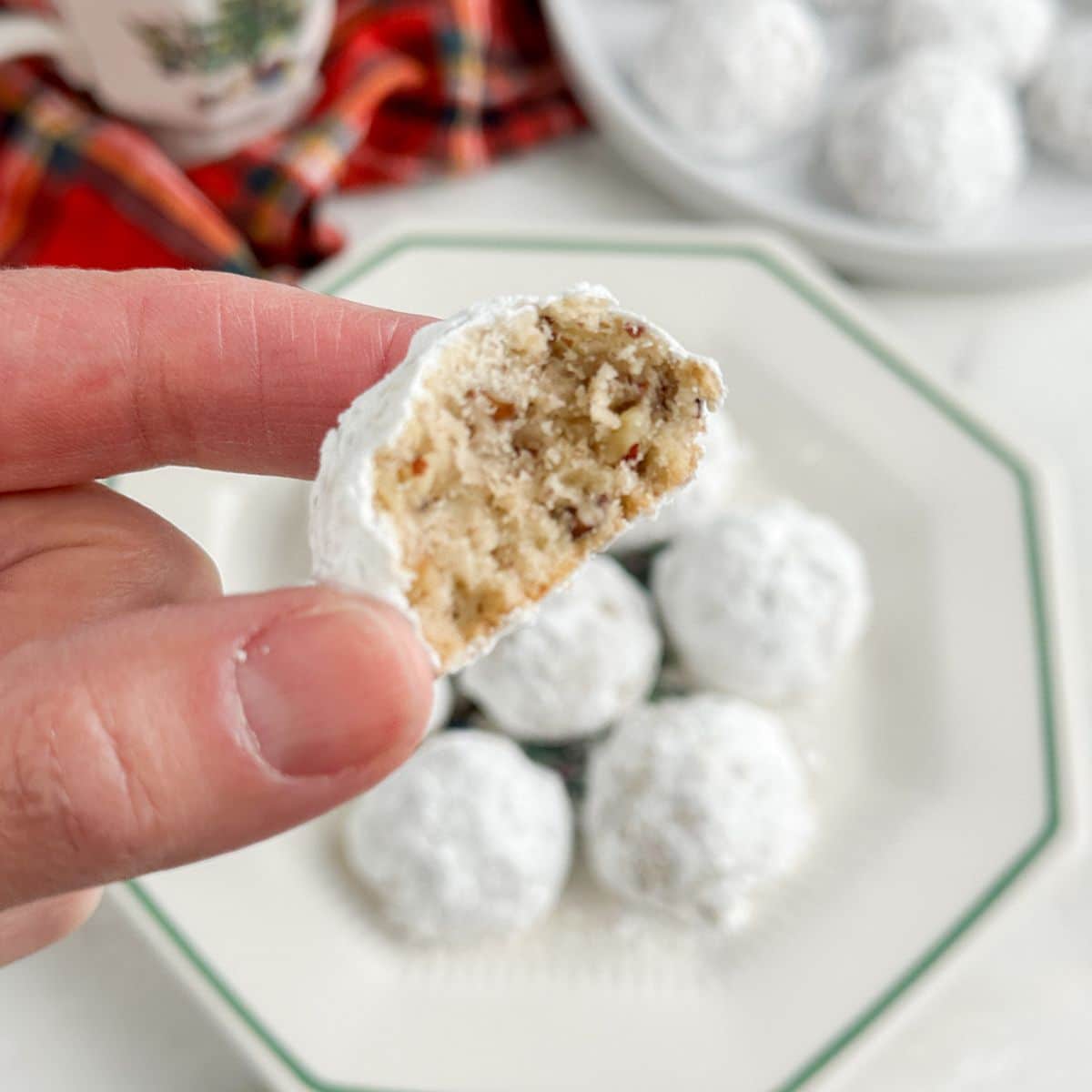Hand holding a pecan ball. 