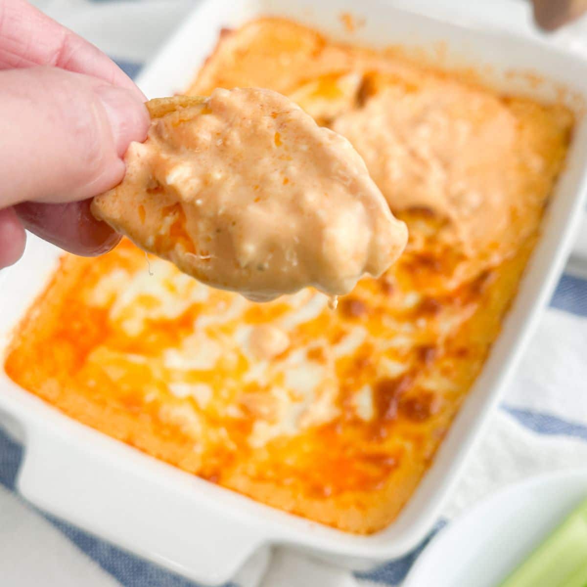 Hand holding a chip with buffalo chicken dip.