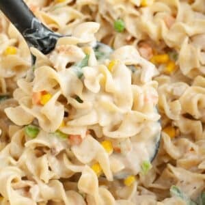 Spoon with chicken pot pie pasta.