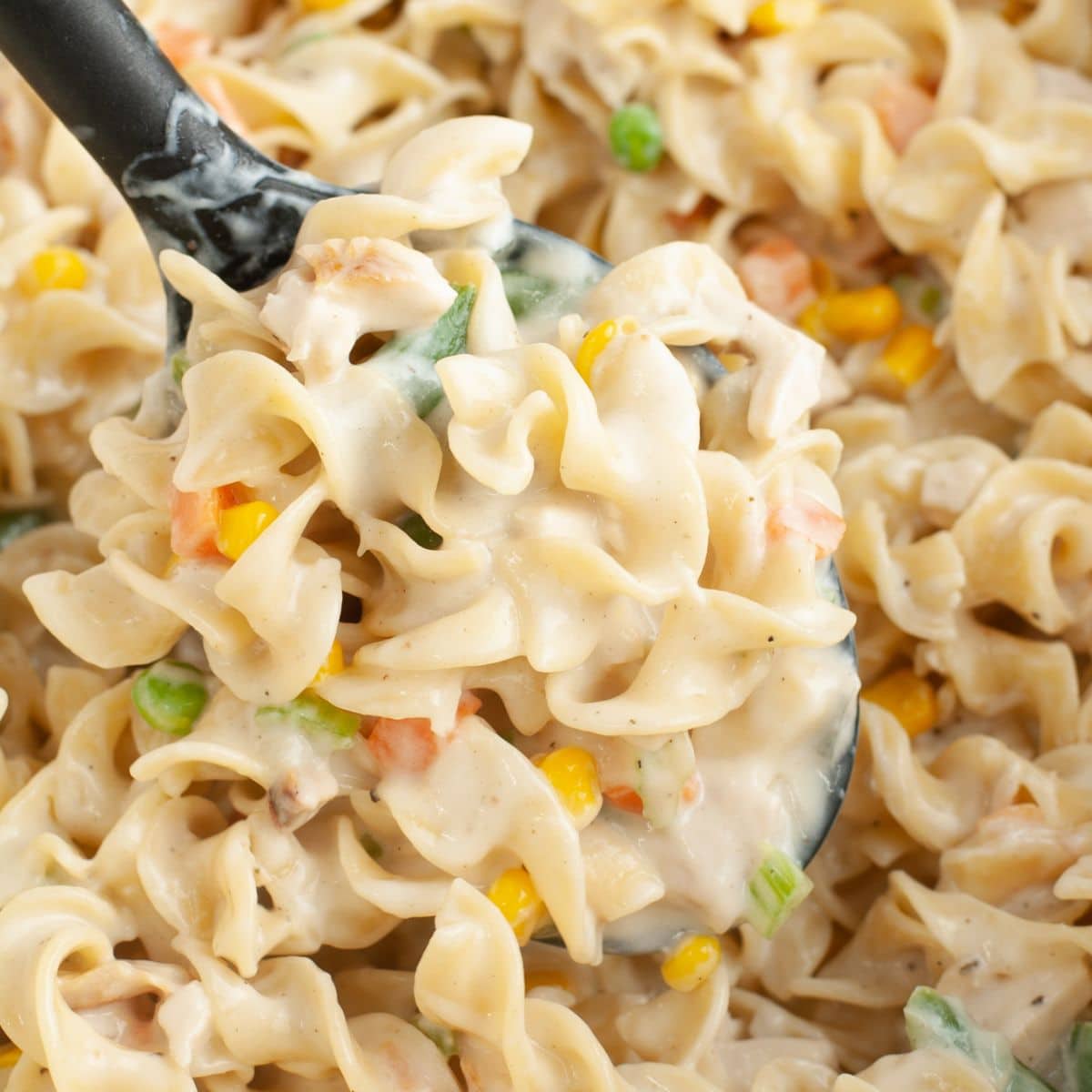 Spoon with chicken pot pie pasta.
