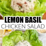 A scoop of lemon basil chicken salad on lettuce leaves.