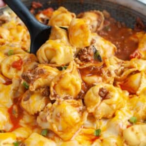 A spoon with taco tortellini.