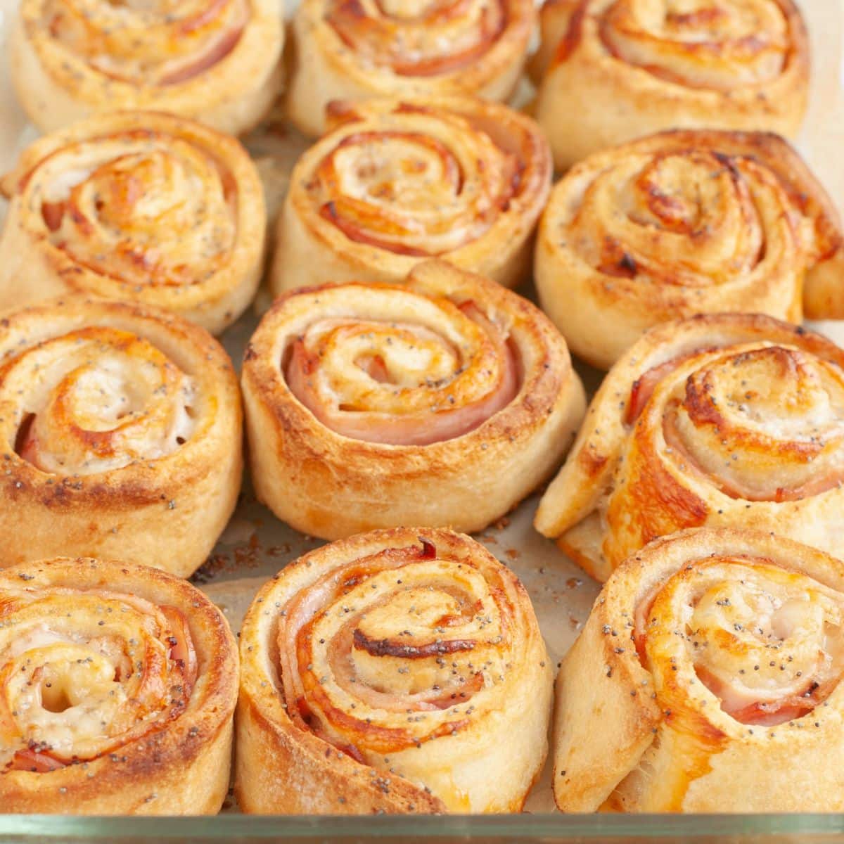 Ham and cheese pinwheels in a baking dish.
