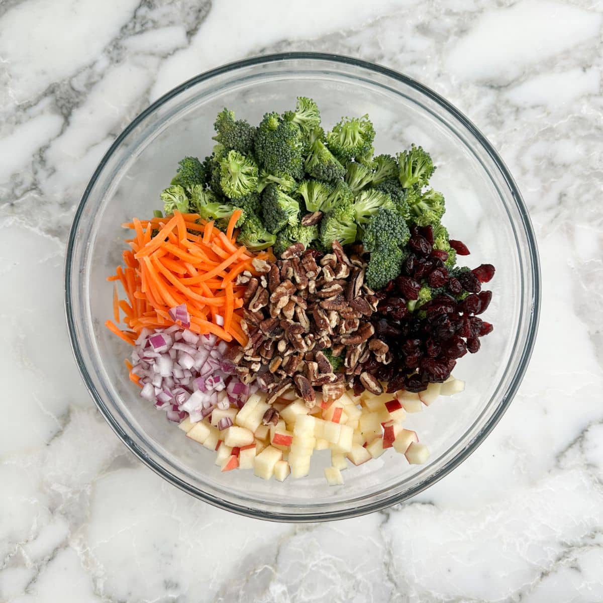 Bowl of broccoli, carrots, pecans, dried cranberries, diced apples, and diced onions. 
