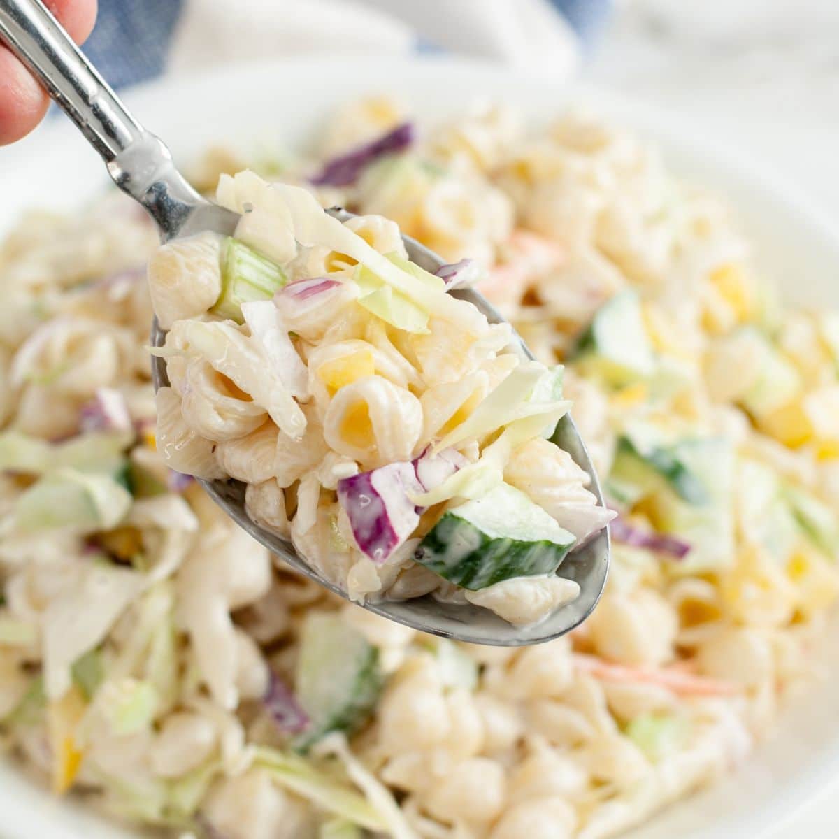 Spoon with coleslaw pasta salad. 