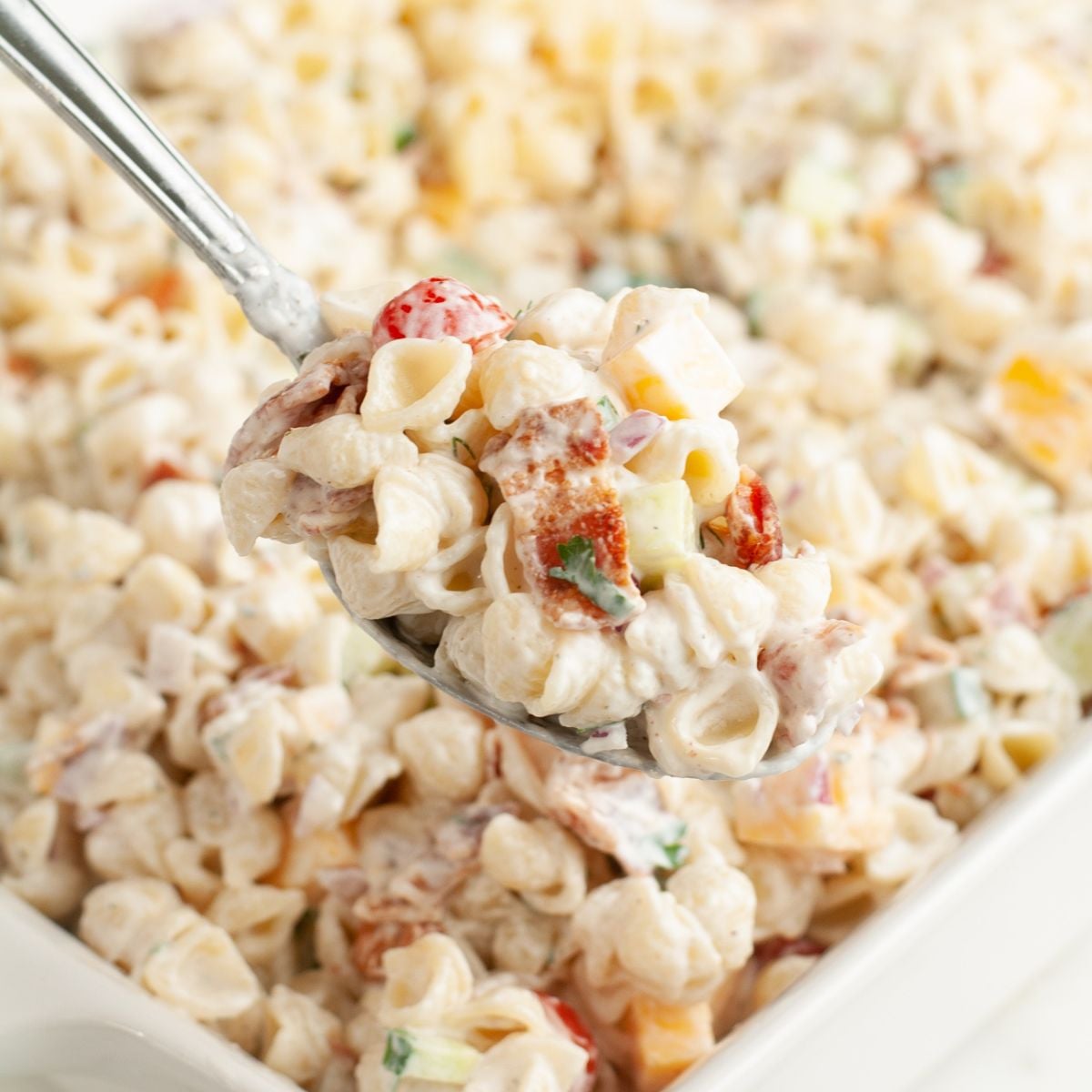 Spoon with ranch pasta salad. 