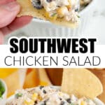 Bowl of Southwest chicken salad.