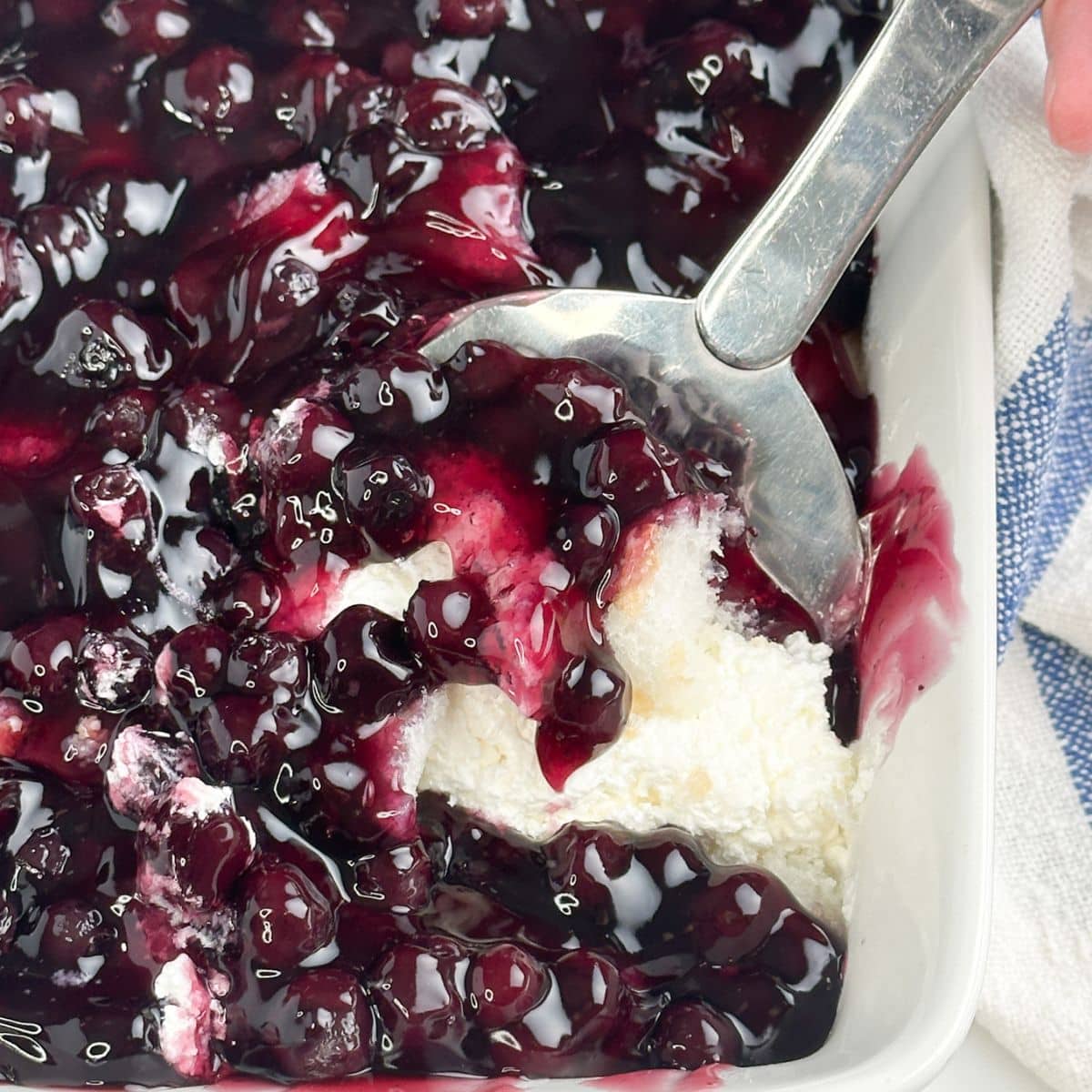 Spatula with blueberry angel food cake dessert. 
