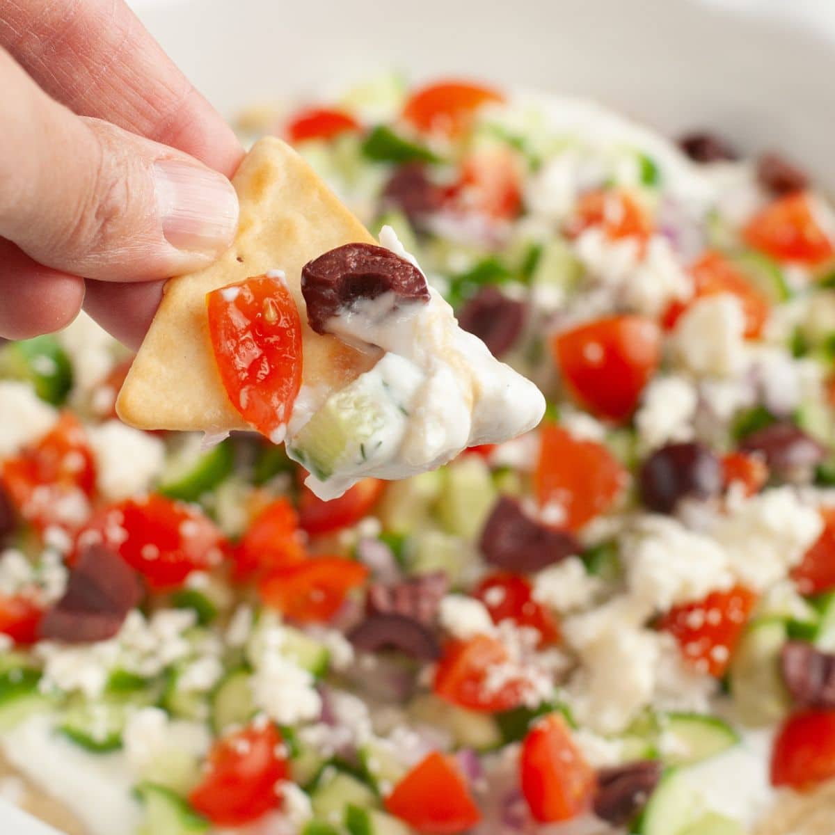 Pita chip with Greek layer dip.