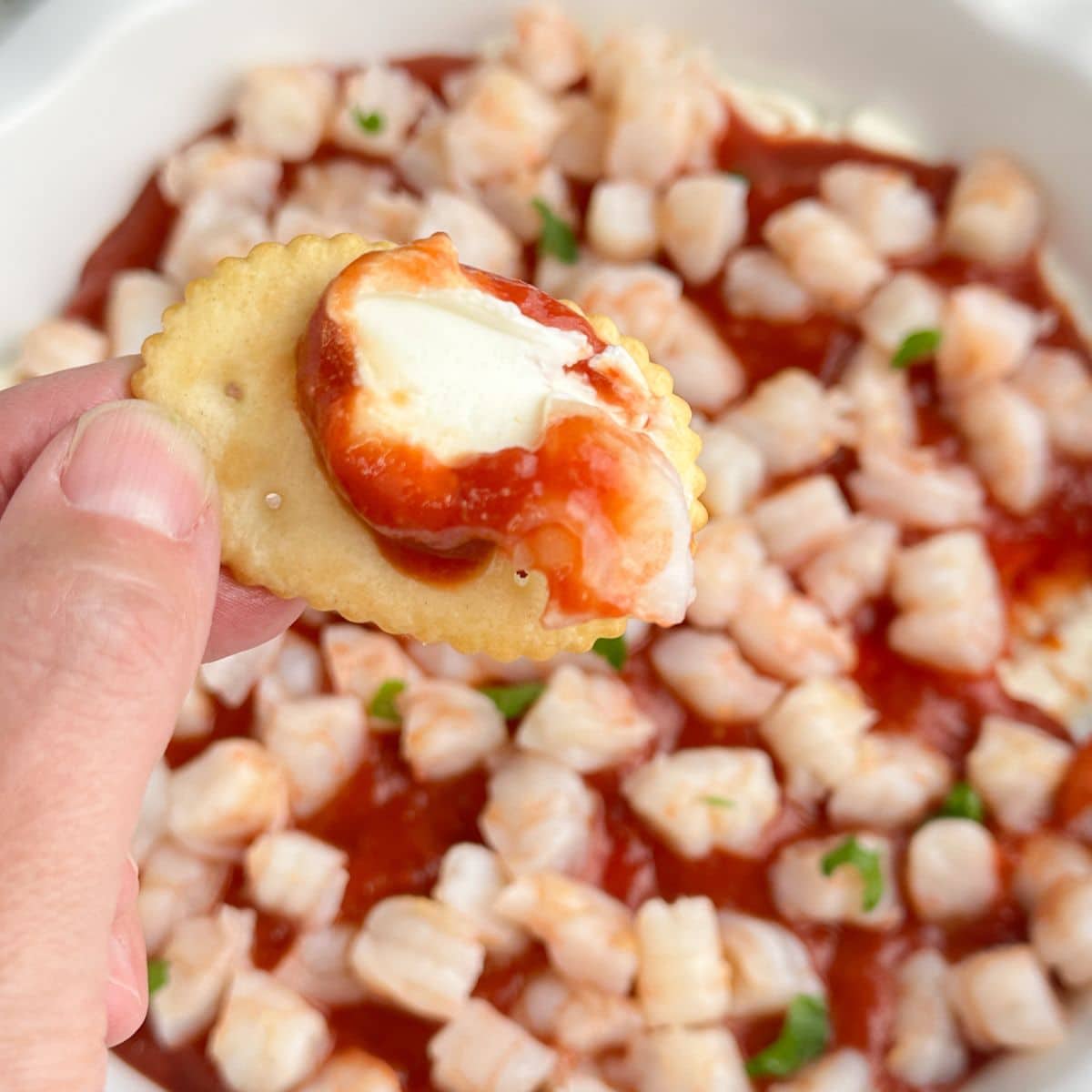 Hand holding a cracker with shrimp dip. 