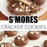 Plate with s'mores cracker cookies.
