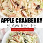 Bowl of apple cranberry coleslaw.