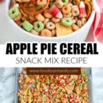 Bowl of apple pie snack mix.