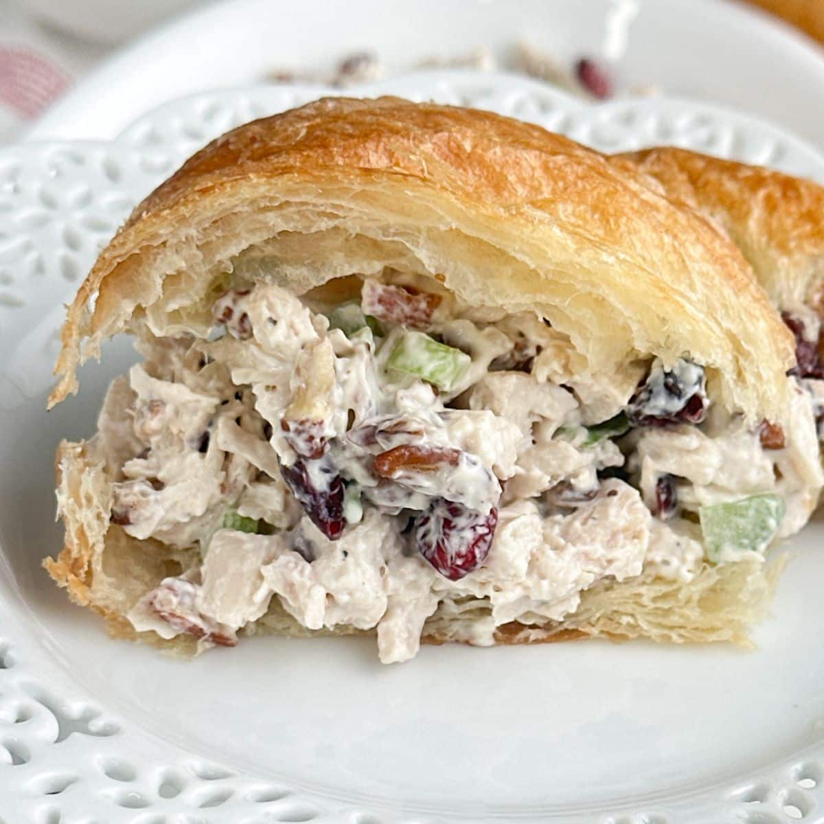 Croissant with cranberry chicken salad.