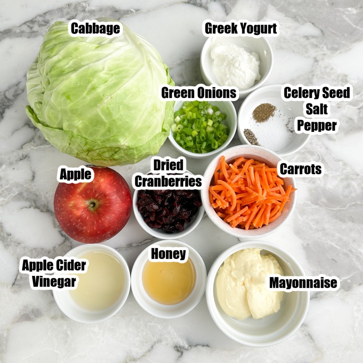 Cabbage, carrots, apple, green onions, mayonnaise, greek yogurt, vinegar, cranberries, honey, and seasonings.
