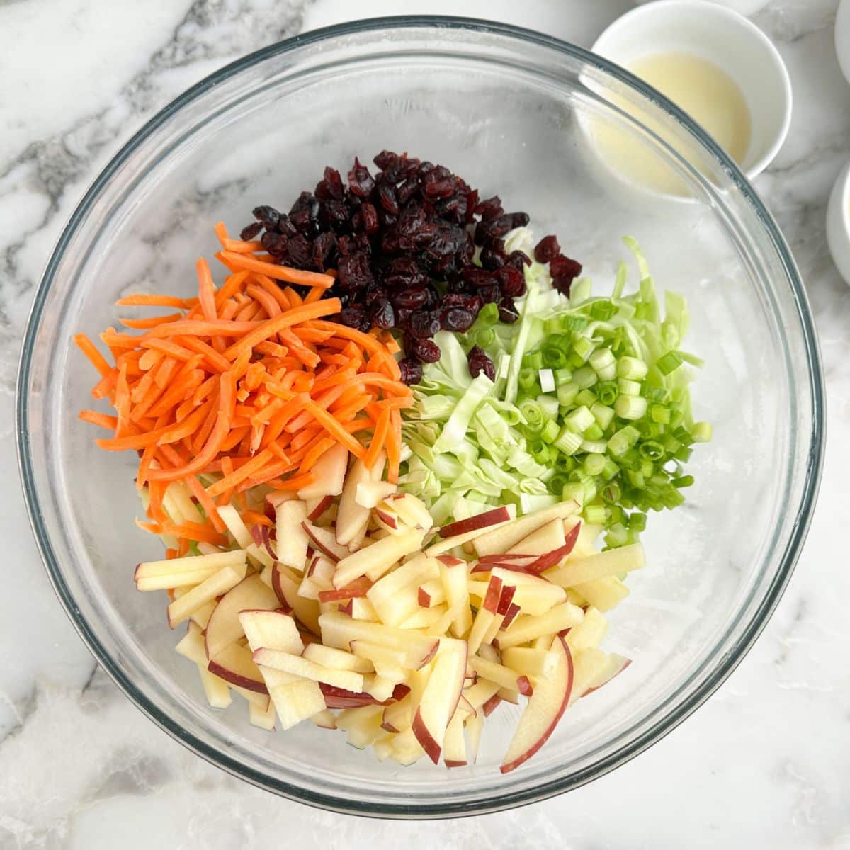 Bowl of cabbage, shredded carrots, cranberries, green onions, and sliced apple.