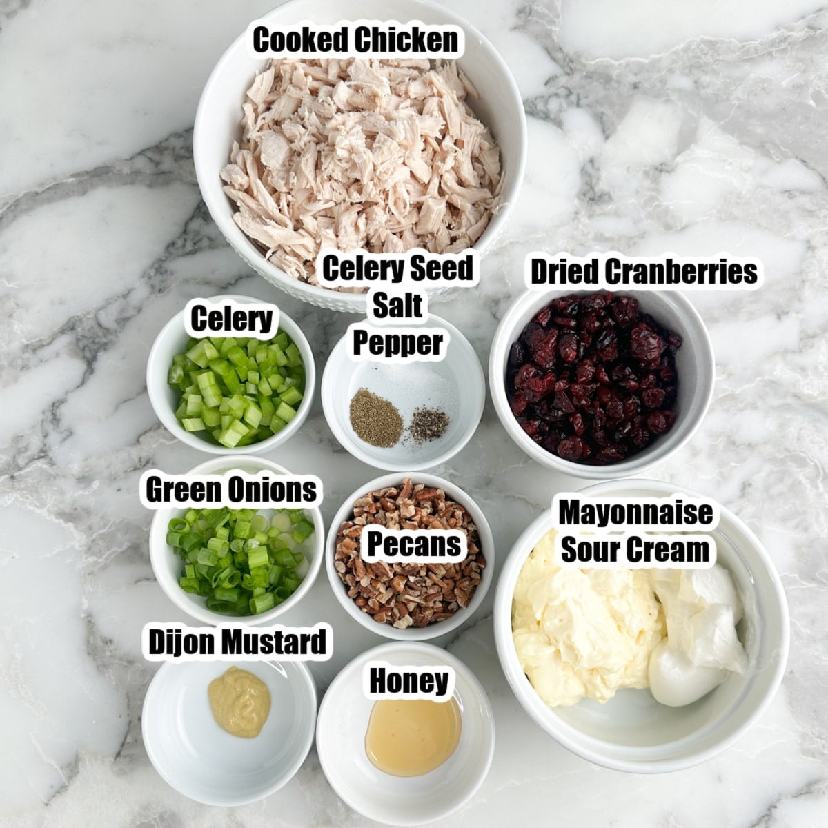 Bowl of shredded chicken, dried cranberries, celery, onions, pecans, mayo, sour cream, seasonings, honey, and dijon.