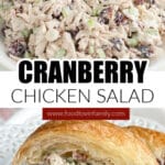 Bowl cranberry chicken salad.