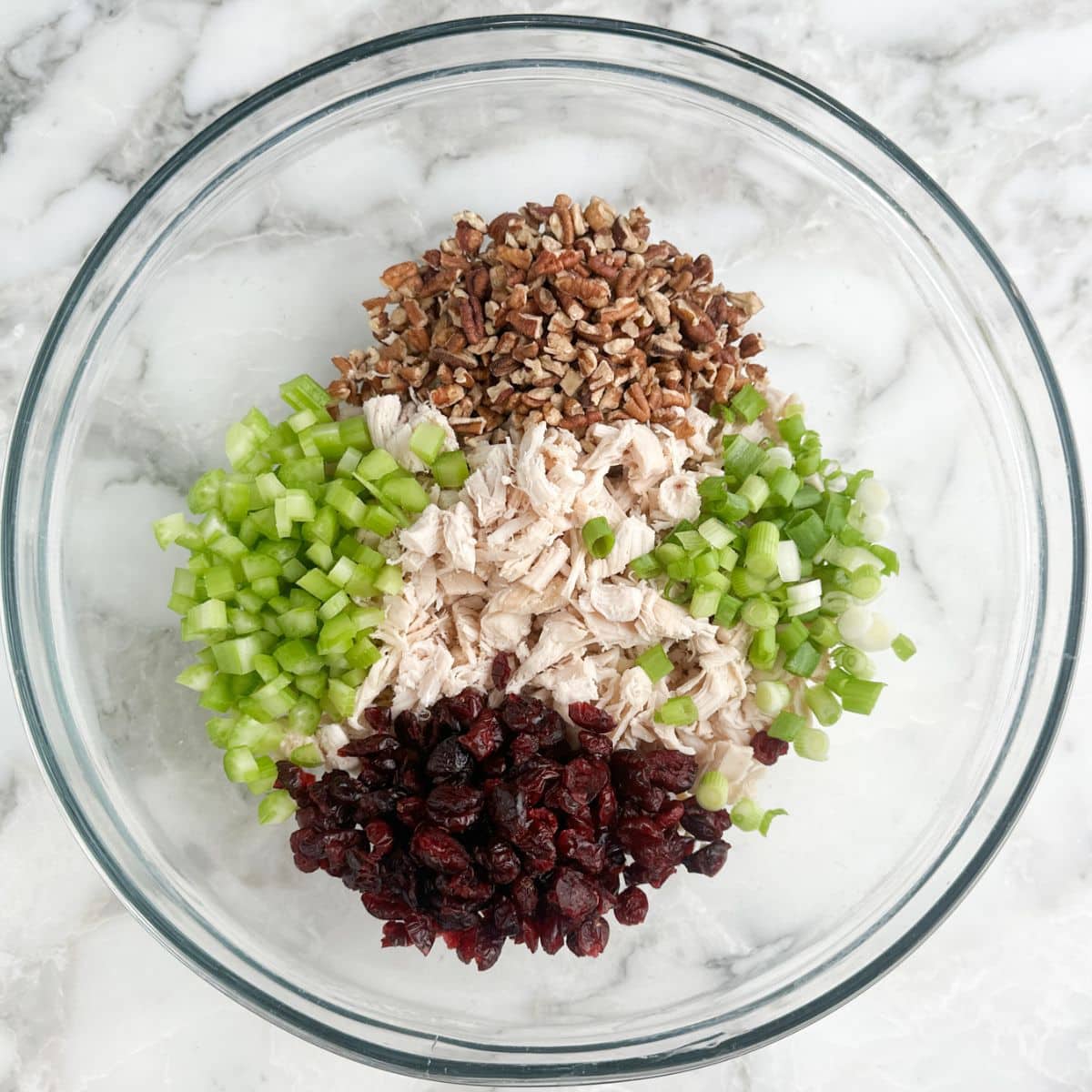 Bowl of chicken, chopped pecans, celery, onions, and dried cranberries.