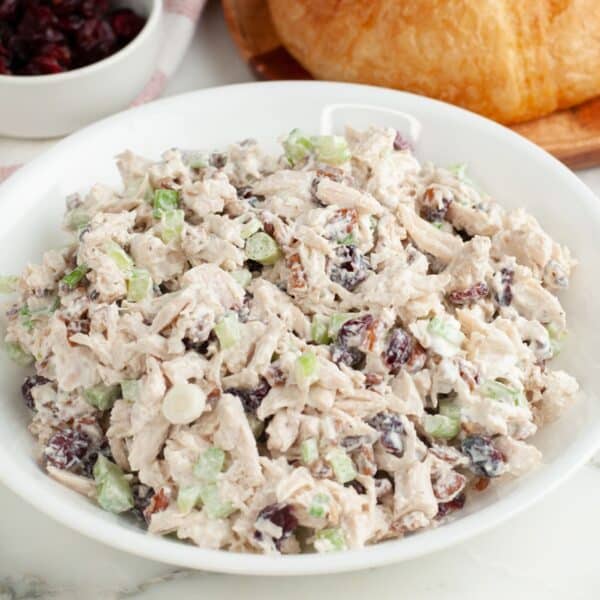 Bowl of cranberry chicken salad.