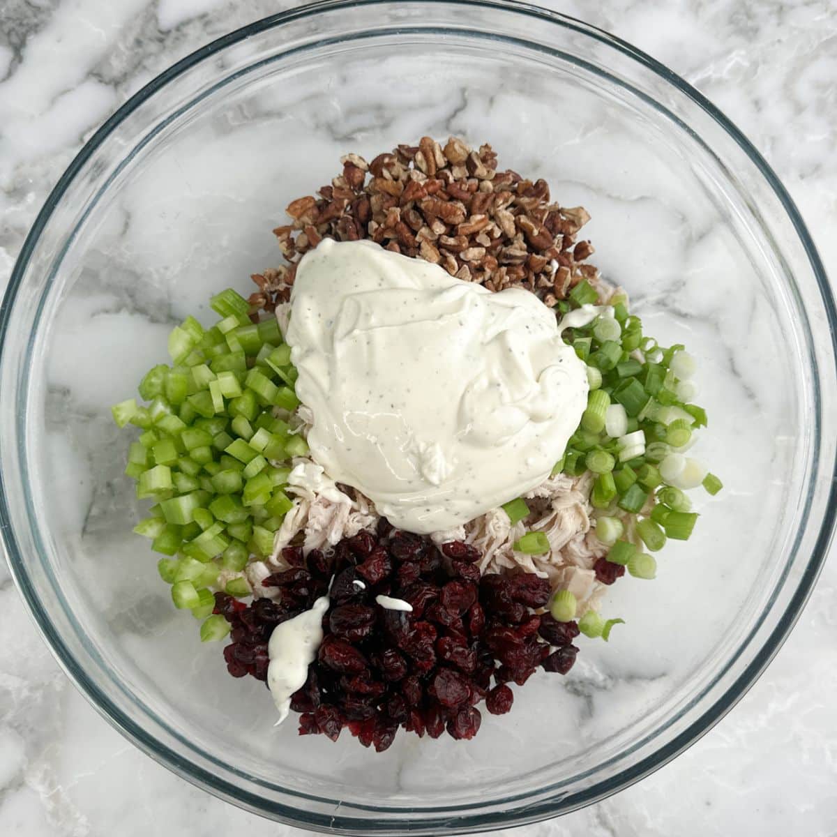 Bowl of dressing, chicken, onions, celery, cranberries, and pecans.